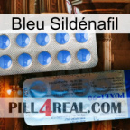 Bleu Sildénafil 40